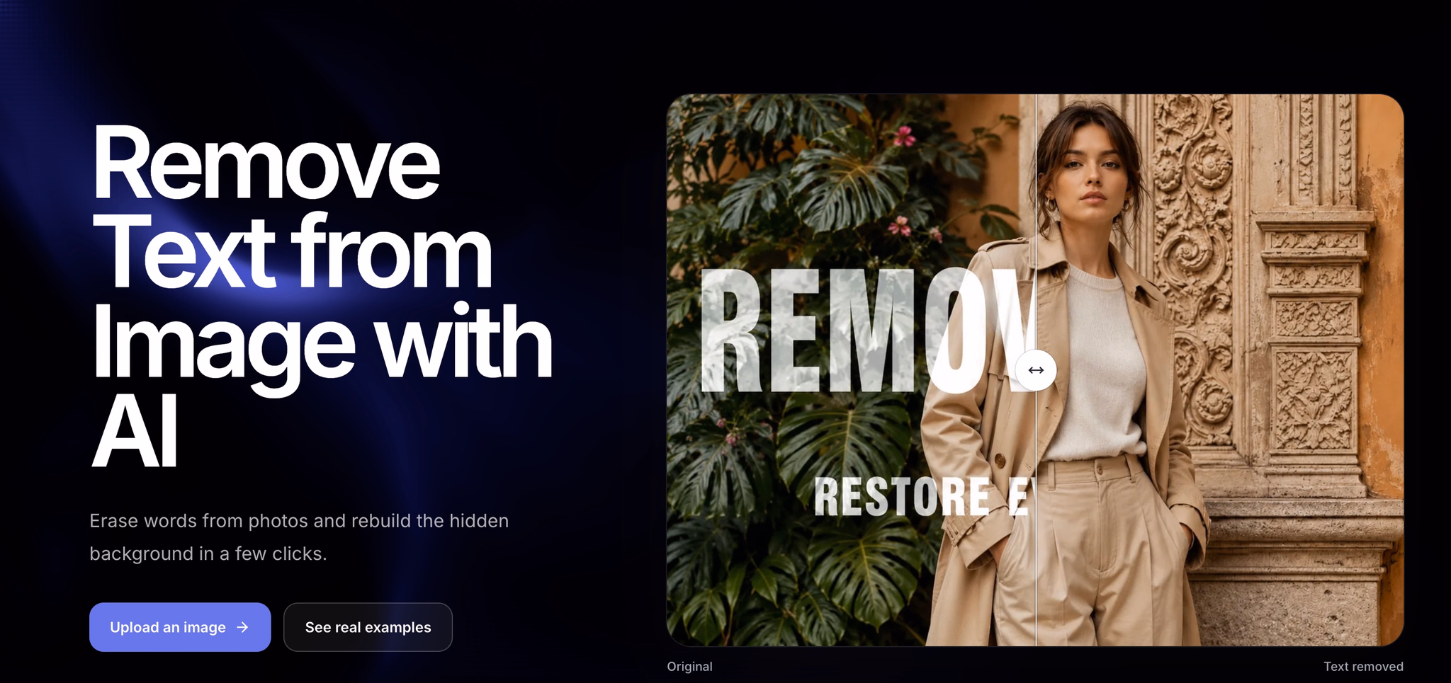 RemoveText - Product Image